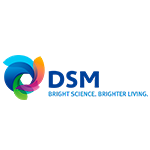 Logo_DSM